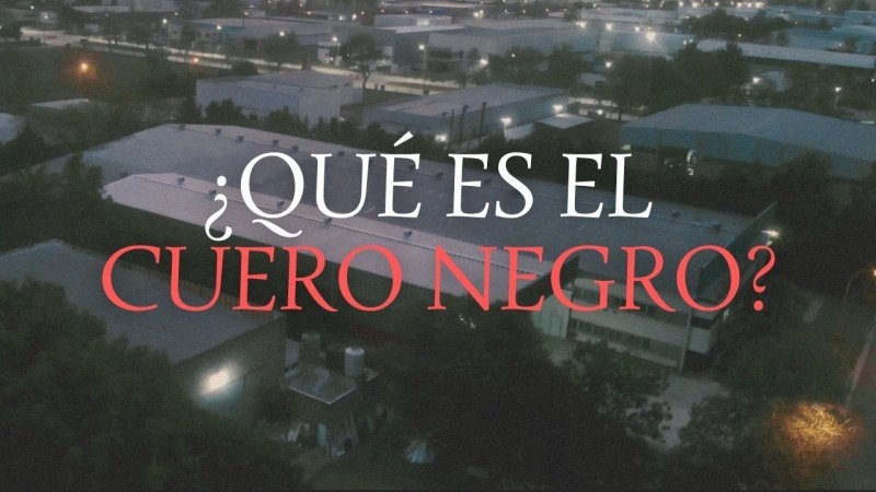 "NO APAGUES LA LUZ": El Relato Del Cuero Negro