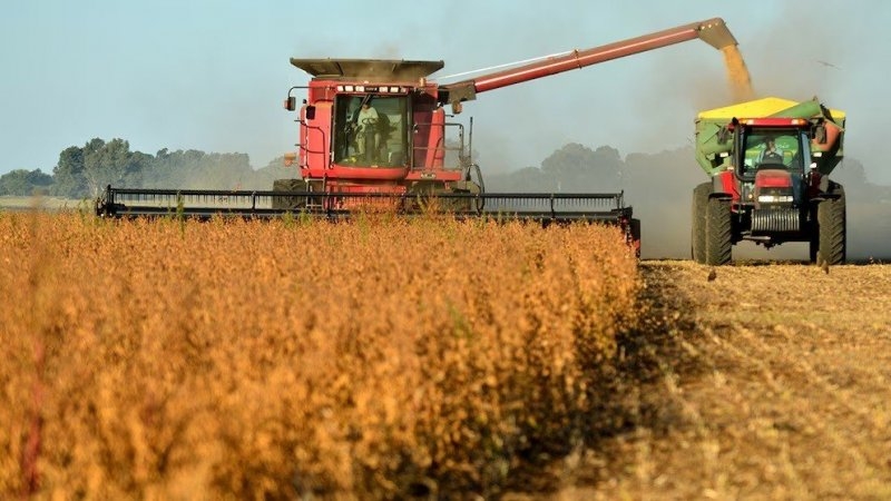 La actividad económica registró un leve crecimiento del 0,2% en agosto