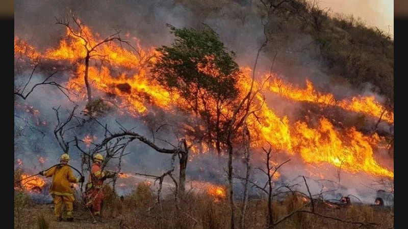 Incendios en Córdoba: condenaron al responsable de iniciar el fuego en un paraje de Salsacate