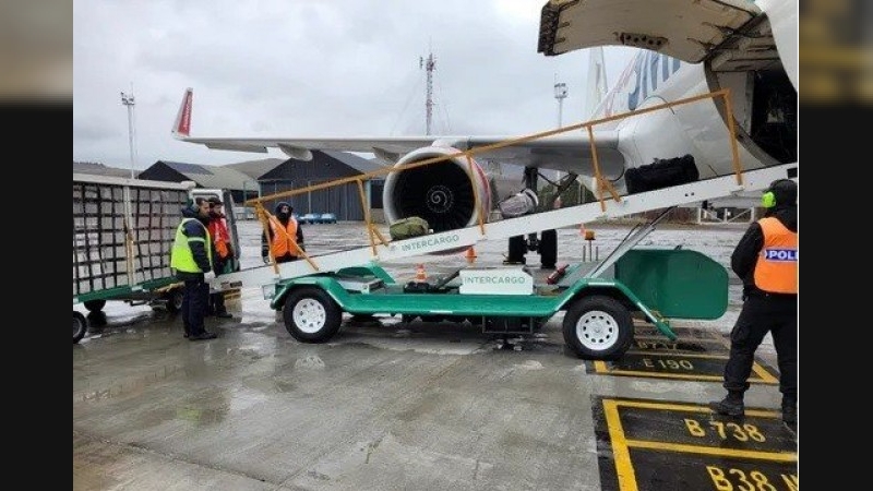 Las fuerzas de seguridad podrán brindar servicios aeroportuarios y de rampa