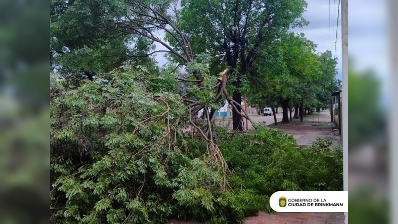 Brinkmann y Freyre afectadas por la fuerte tormenta del lunes