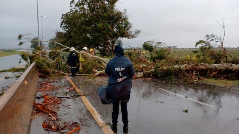 Voladura de techos, caída de árboles y destrozos por la tormenta en el sur de Córdoba