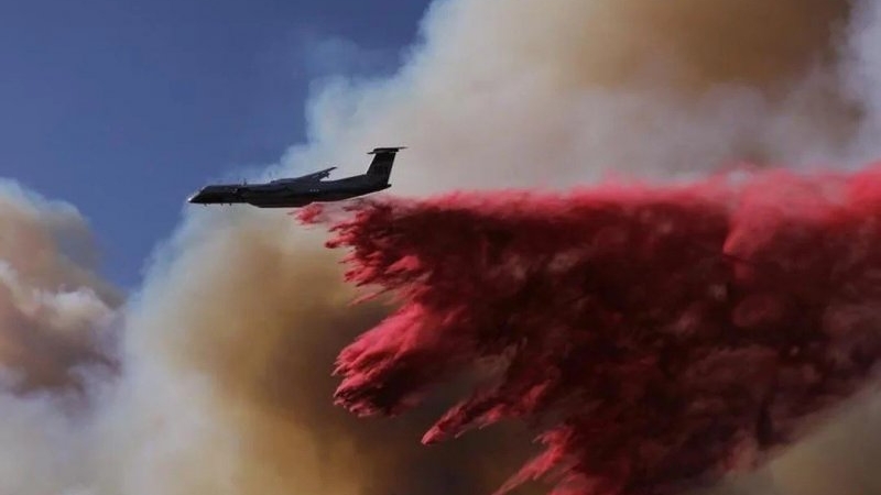 Ya son 24 los muertos por los incendios forestales de Los Ángeles