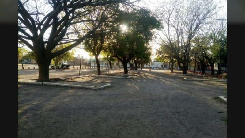 Morteros: vecinos autoconvocados realizarán un relevamiento del arbolado en el Parque Central