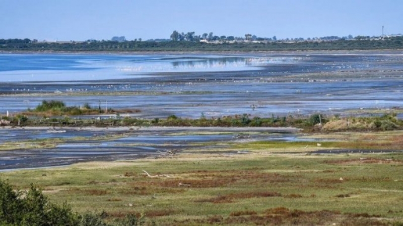 Detectan especies en peligro en la Laguna de Mar Chiquita