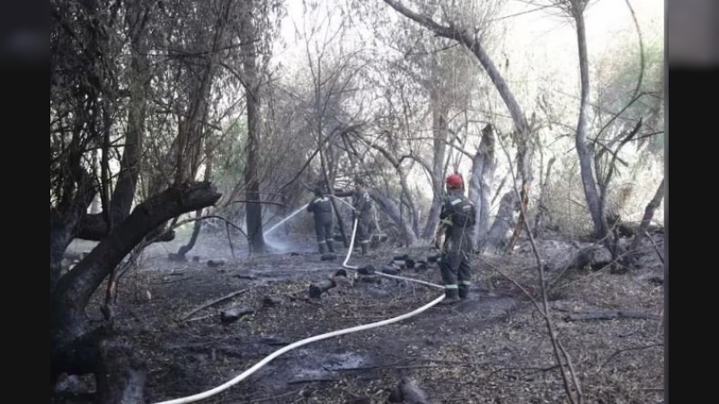 Fuego activo en El Bolsón: Detienen a un hombre