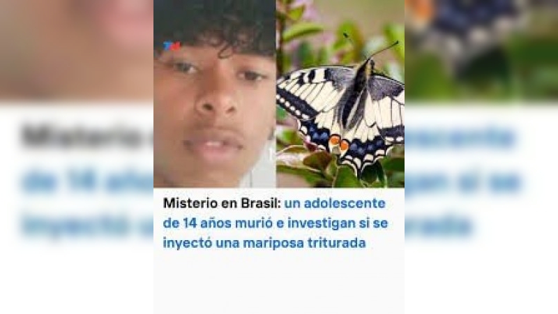 Misterio en Brasil: un adolescente de 14 años murió e investigan si se inyectó una mariposa triturada