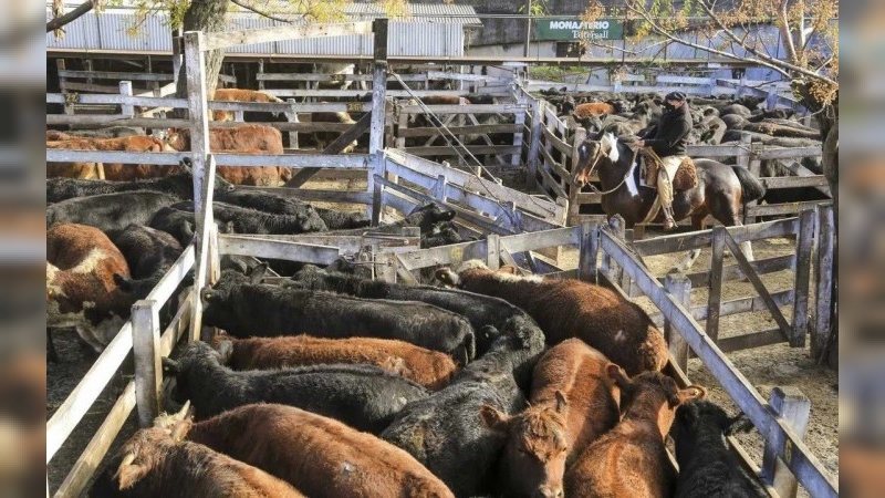 México desaprueba el cierre de la frontera a la exportación de ganado hacia Estados Unidos