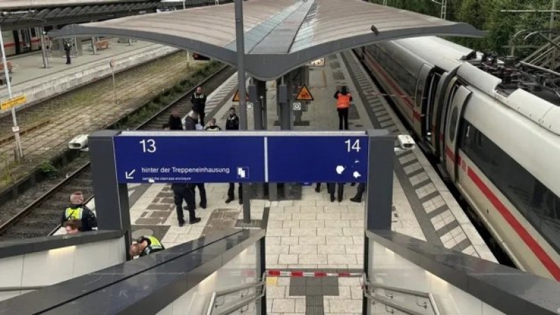 Feroz ataque con cuchillo en Alemania: una mujer hirió a 18 personas en Hamburgo
