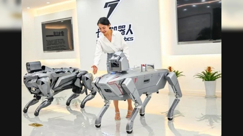 China presentó más robots: cuadrúpedos a prueba de explosiones