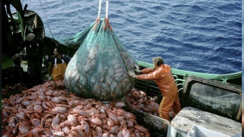 Las oportunidades laborales del 2025 vienen del comercio, el agro y la pesca