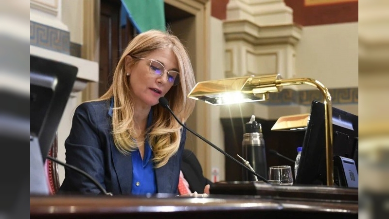 El Senado bonaerense aprobó las reelecciones indefinidas para legisladores
