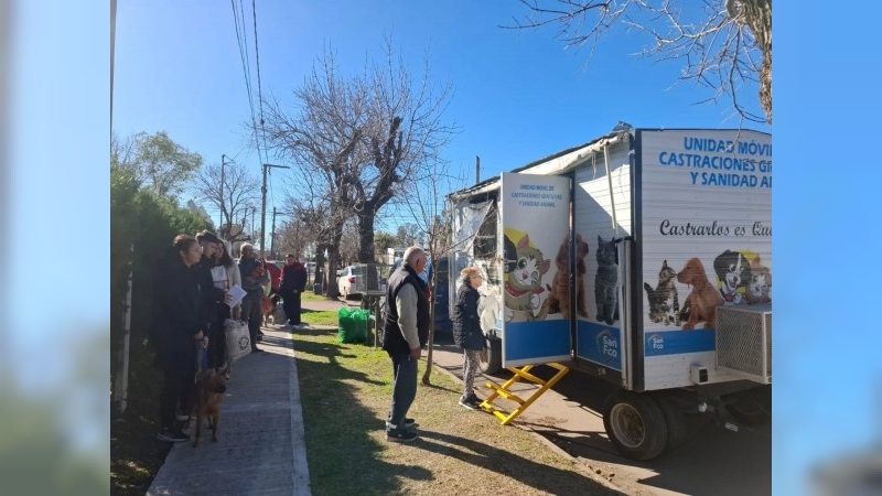 Castración y vacunación antirrábica