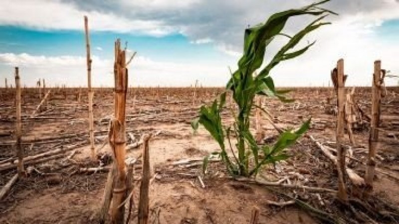 Alerta por la llegada de “La Niña”: qué efectos tendrá en Argentina y en qué zonas se sentirá más