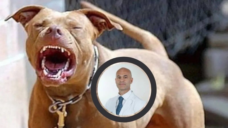 Un neurocirujano fue atacado por cinco perros pitbull en Mendoza