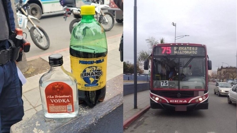 Una mujer quedó detenida por pegarle con una botella de fernet a un chofer de un colectivo