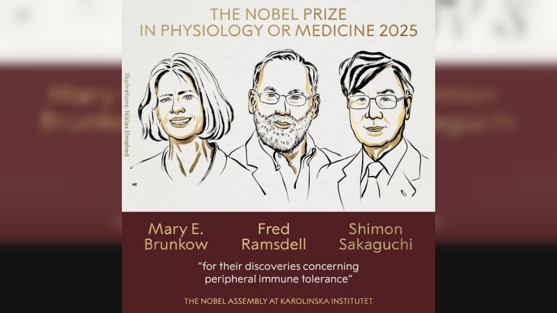 El premio Nobel de Medicina 2025 fue otorgado a Mary E. Brunkow, Fred Ramsdell y Shimon Sakaguchi