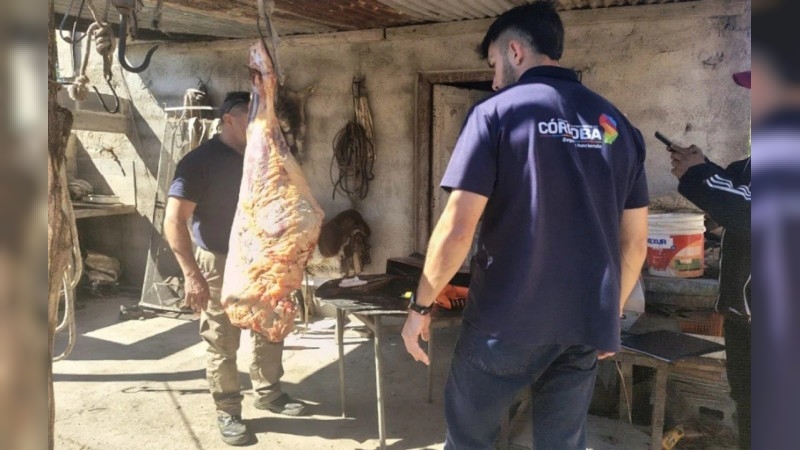 Faena clandestina en Córdoba: ofrecían carne ilegal en las redes sociales