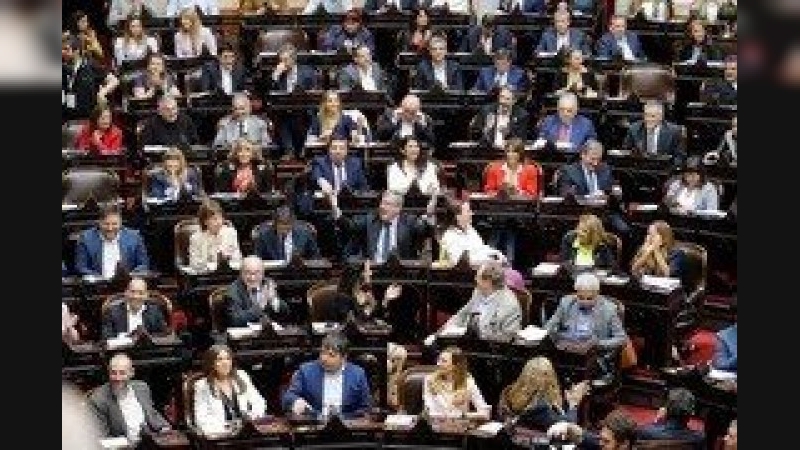 Elecciones 2025: el Peronismo busca alcanzar 100 bancas y el oficialismo tener un tercio del Parlamento