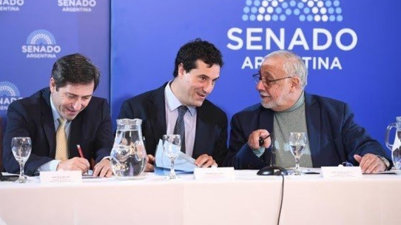 El Senado hará dos audiencias públicas para evaluar a 25 candidatos a la Justicia, uno vinculado al "Chiqui“ Tapia
