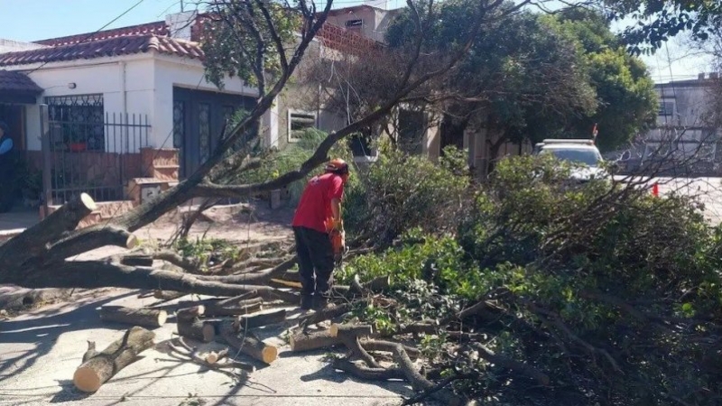 Fuertes r&aacute;fagas en la ciudad de C&oacute;rdoba: m&aacute;s de 950 llamados, &aacute;rboles ca&iacute;dos, voladura de techos y una pared derribada