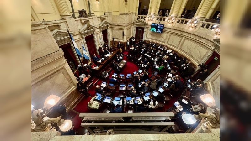 Senado: el Gobierno aprob&oacute; la ley de propiedad privada, pero tuvo que quitar otro cap&iacute;tulo