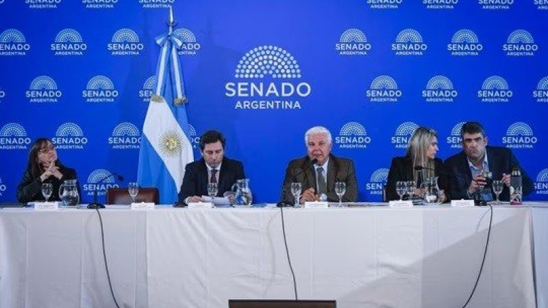 El Senado inicia el debate del S&uacute;per RIGI para atraer inversiones en tecnolog&iacute;a y minerales cr&iacute;ticos