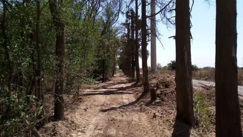 Fatal accidente durante una práctica de motocross en el Circuito del Bosque