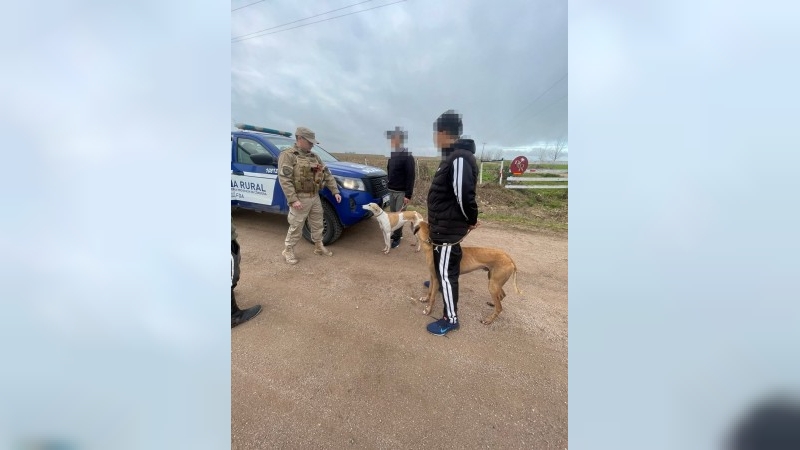 Aprehendieron a tres hombres por infringir la Ley de Protección de Fauna en Las Varillas