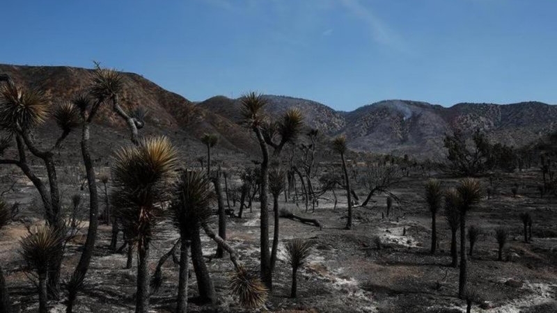 Estados Unidos: incendio forestal dejaba heridos y 42.000 evacuados cerca de frontera Nevada-California