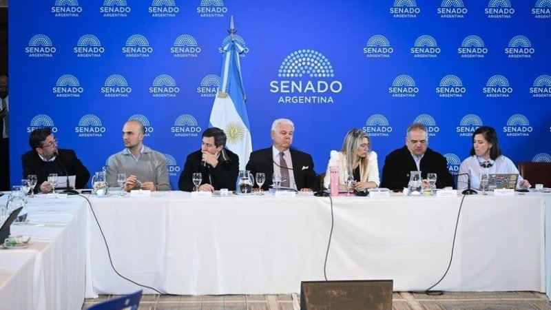 Senado: LLA quiere emitir dictamen del Súper RIGI, pero los aliados reclaman cambios para dar su apoyo