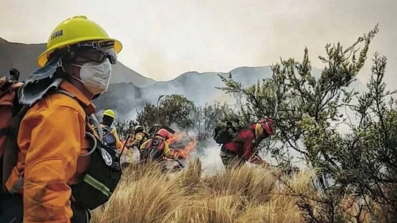 Incendios: el riesgo ser&aacute; extremo en algunas zonas de C&oacute;rdoba