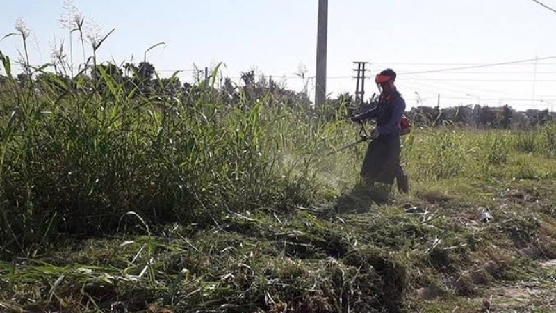 El municipio refuerza el cumplimiento de la normativa sobre mantenimiento de lotes y veredas