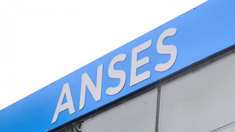Cu&aacute;nto se cobra en octubre de 2026 por el SUAF de Anses con el aumento confirmado