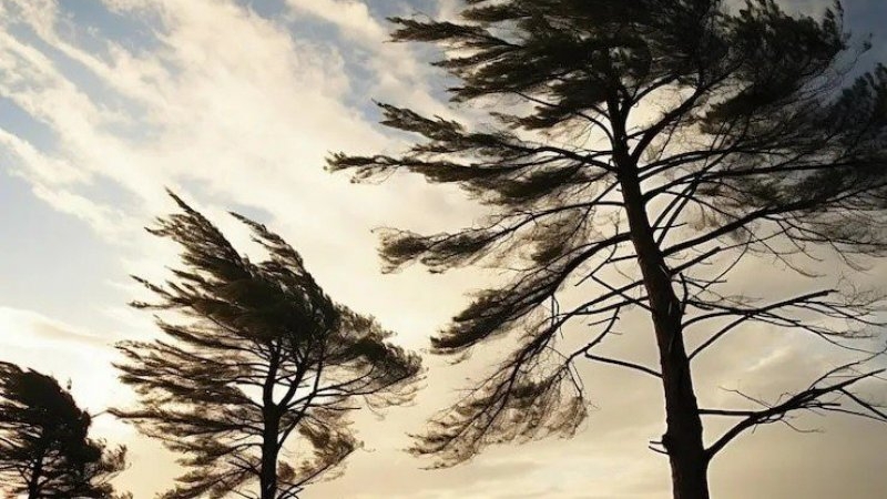 San Francisco se prepara ante el ingreso de un frente fr&iacute;o con fuertes r&aacute;fagas de viento