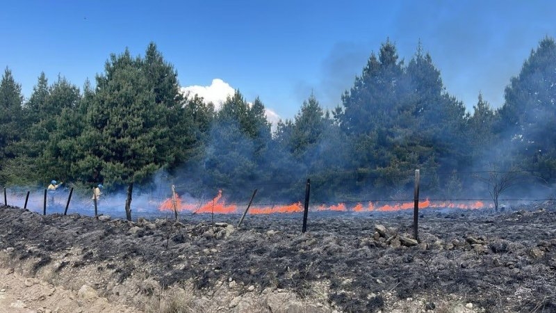 Bomberos combaten un incendio forestal en Villa Berna