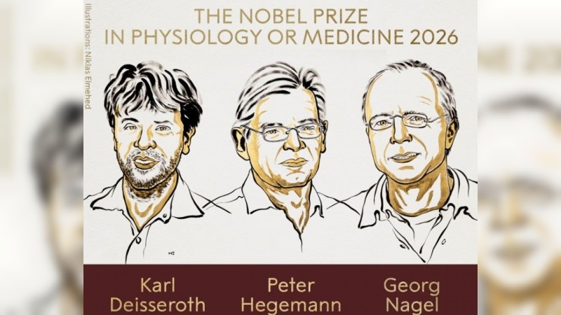 Nobel de Medicina 2026: premiaron a tres cient&iacute;ficos por controlar el cerebro con luz